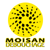 Logo Moisan Débouchage